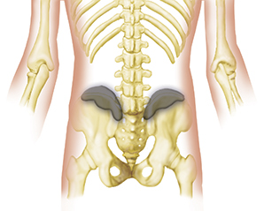 Back Mice Eddie O Grady Physiotherapist back-mice-eddie-o-grady-physiotherapist